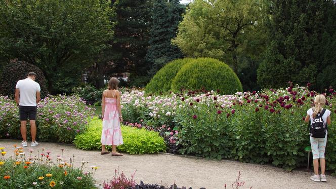 To jeden z najpiękniejszych ogrodów botanicznych w Polsce. Znajduje się na Dolnym Śląsku 