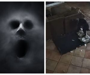 Czy psy widzą duchy? To nagranie mrozi krew w żyłach. Spójrz na reakcję psa!