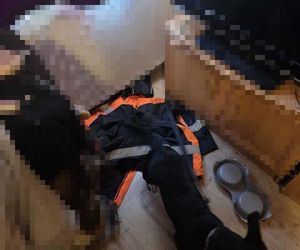 22-latek znęcał się nad psem