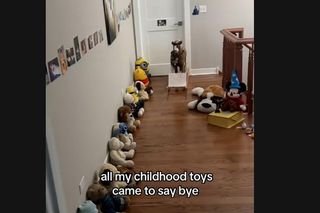 Polka z przedmieść Chicago wzruszyła świat. Jej film obejrzały miliony