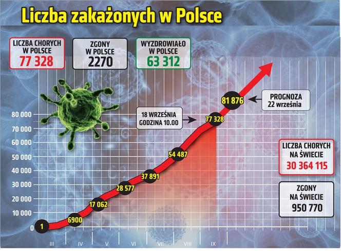 Koronawirus w Polsce. Statystyki, wykresy, grafiki (18 września)