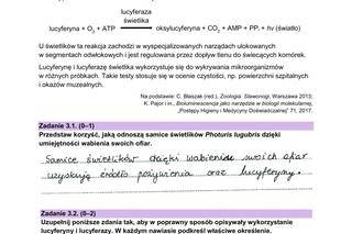 Matura 2024: biologia rozszerzona. Odpowiedzi, arkusze CKE do pobrania [STARA I NOWA FORMUŁA 14.05.2024]