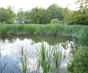 1. Park Sołacki 