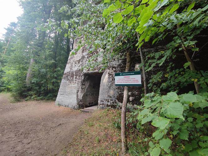 Czarny Szaniec na Mazurach. Bunkry Himmlera ukryte w lesie koło Pozezdrza [ZDJĘCIA]