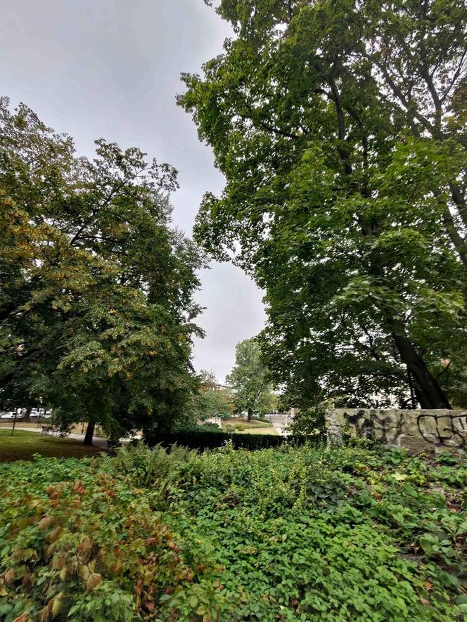 Park Dolina Szwajcarska w Warszawie