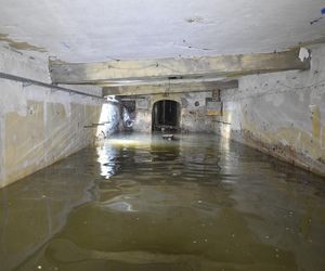 Pamiątki z Pałacu Kultury i Nauki. Historia budynku w przedmiotach 