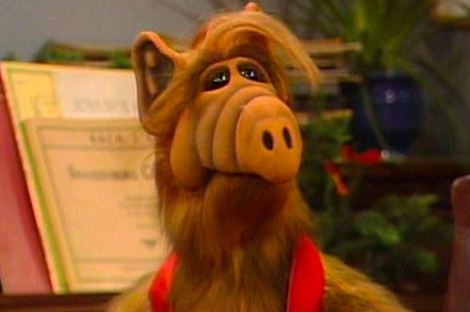 Kadr z serialu Alf. Kultowy sitcom będzie można obejrzeć w lipcu na HBO Max