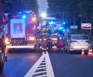 Przytoczna. Śmiertelny wypadek na DK 24. 49-latek nie żyje [ZDJĘCIA].