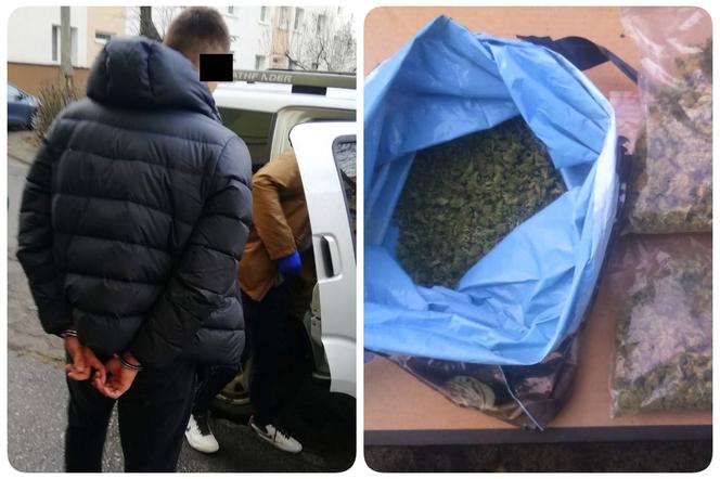 Bydgoszcz: Policja zabezpieczyła ponad pół kilogramy marihuany na osiedlu Leśnym i Błoniu!
