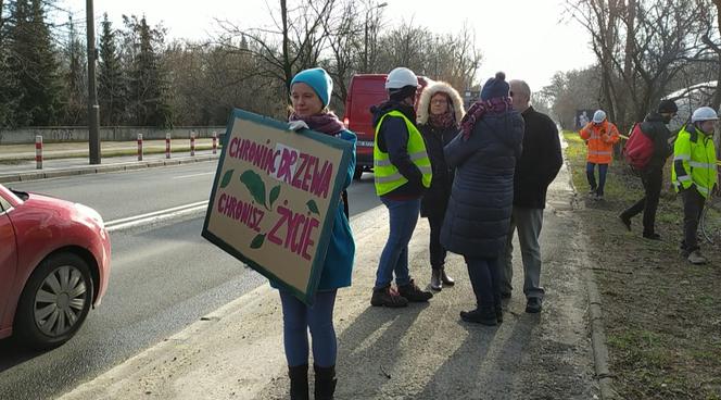 "Zostaniemy tu do marca". Aktywiści w obronie drzew nad Wisłą