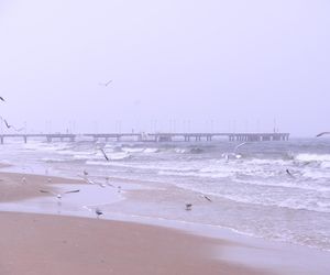 Zimne lato 2025. Katastrofa wakacyjna nad morzem i na Mazurach. Pustki w kurortach