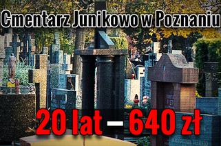 Cmentarz Junikowo w Poznaniu – 20 lat - 640 zł
