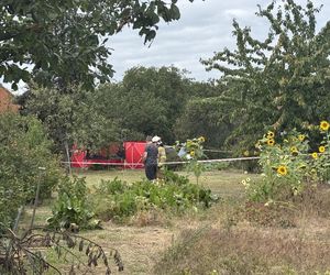 Wypadek awionetki w Krzycku Wielkim
