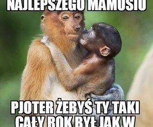 memy