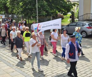 Gmina Miedziana Góra i okolice