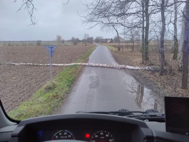 Niebezpieczne podmuchy wiatru w Łódzkiem. Strażacy interweniowali 140 razy