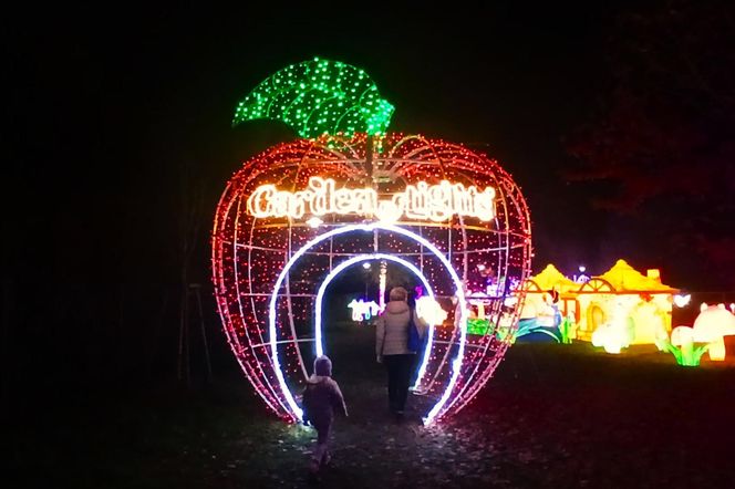 Garden of Lights w Szczecinie