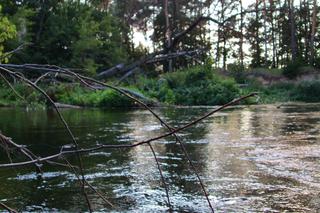 Spływ kajakowy Drwęcą