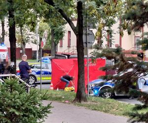 Bohaterowie z Chorzowa nagrodzeni