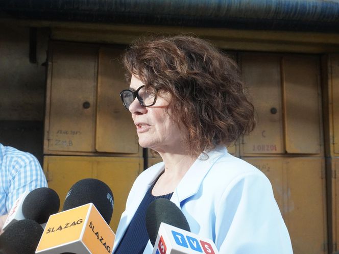 Zabytkowa Elektrownia Zabrze sprzedana. Jej rewitalizacją zajmie się grupa Arche