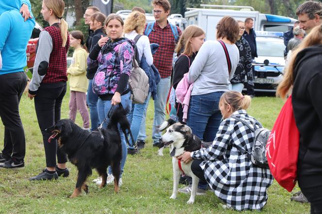 IX Piknik Przyjaciół Schroniska w Toruniu