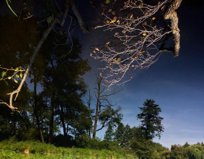 Światowy Dzień Fotografii. Z tych fotek są dumni nasi Czytelnicy! ZOBACZ