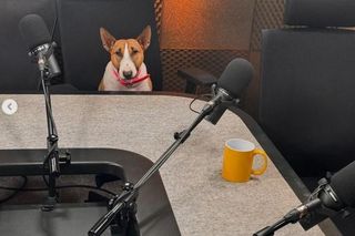 Paweł Deląg, Paweł Deląg jr., Dominika Olszyna