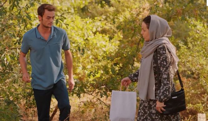 Miłość i nadzieja odc. 259. Alper, Cavidan