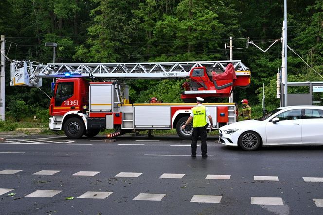 Usuwanie skutków burzy jaka przeszła nad Szczecinem