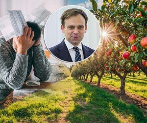 Nowa akcyza na cydr. Znamy daty. Producenci załamują ręce