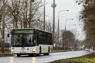 W Toruniu ruszyła nowa linia autobusowa. Jej numer jest symboliczny