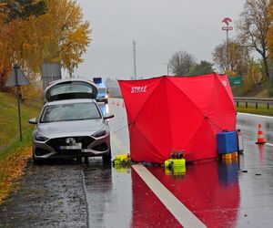 Zwłoki na drodze w Tarczynie. Policja szuka świadków