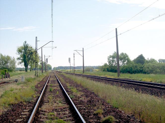 Wrocław: Złapali złodzieja na słupie kolejowym. Groził, że skoczy