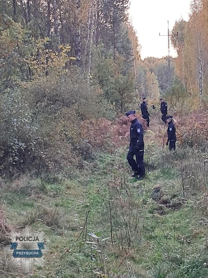 Tragiczny finał grzybobrania w powiecie przysuskim. Mężczyźni zgubili się w lesie. Jeden z nich nie żyje