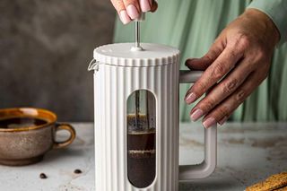 Zaparzacz tłokowy do kawy i herbaty - Klausberg