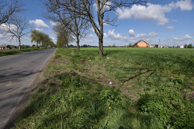 Tomasz chciał wyprzedzić inny samochód i wjechał czołowo w auto Karoliny