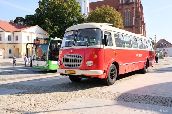 Białystok: Zabytkowe autobusy wracają na trasę. Jak przejechać się słynnym „ogórkiem”? 