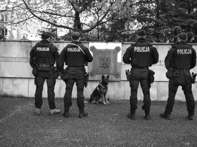 Tak policjanci z Poznania oddali hołd asp. Michałowi Kędzierskiemu. Wzruszające wideo i zdjęcia
