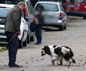 Donald Tusk na spacerze z Portosem