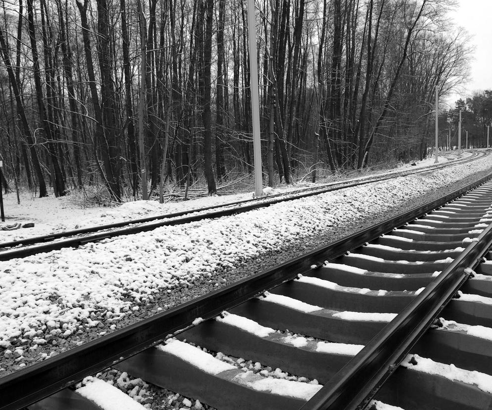 Śmiertelny wypadek na torach kolejowych w Gdyni; zginął 49-letni mężczyzna