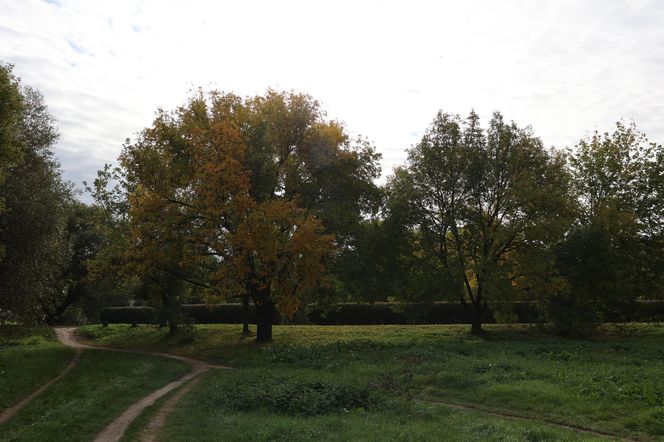 Jesienna odsłona terenów nad Bystrzycą w Lublinie. Tak się prezentuje w październiku