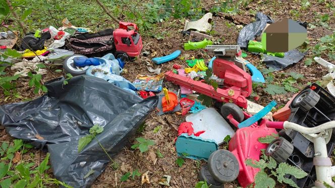 Zgroza w lesie pod Świeciem! Martwy pies w worku foliowym ze związanymi łapami. Policja szuka sprawcy bestialskiego czynu