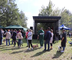 IX Piknik Przyjaciół Schroniska w Toruniu