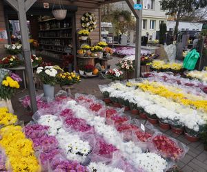 Ceny zniczy i kwiatów pod Cmentarzem Centralnym w Szczecinie