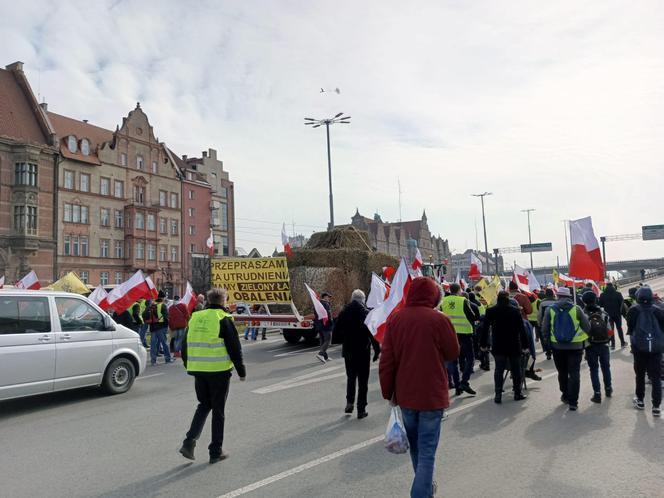 Rolnicy na ulicach Gdńska