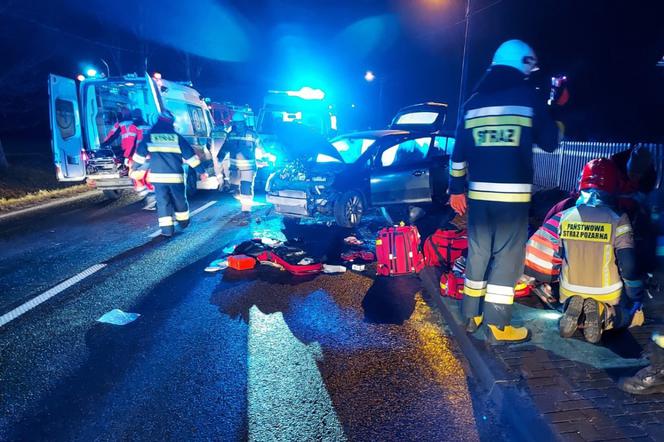 Tragedia koło Pajęczna. 19-latka uderzyła w ludzi stojących przy drodze. Jedna osoba zginęła [ZDJĘCIA]
