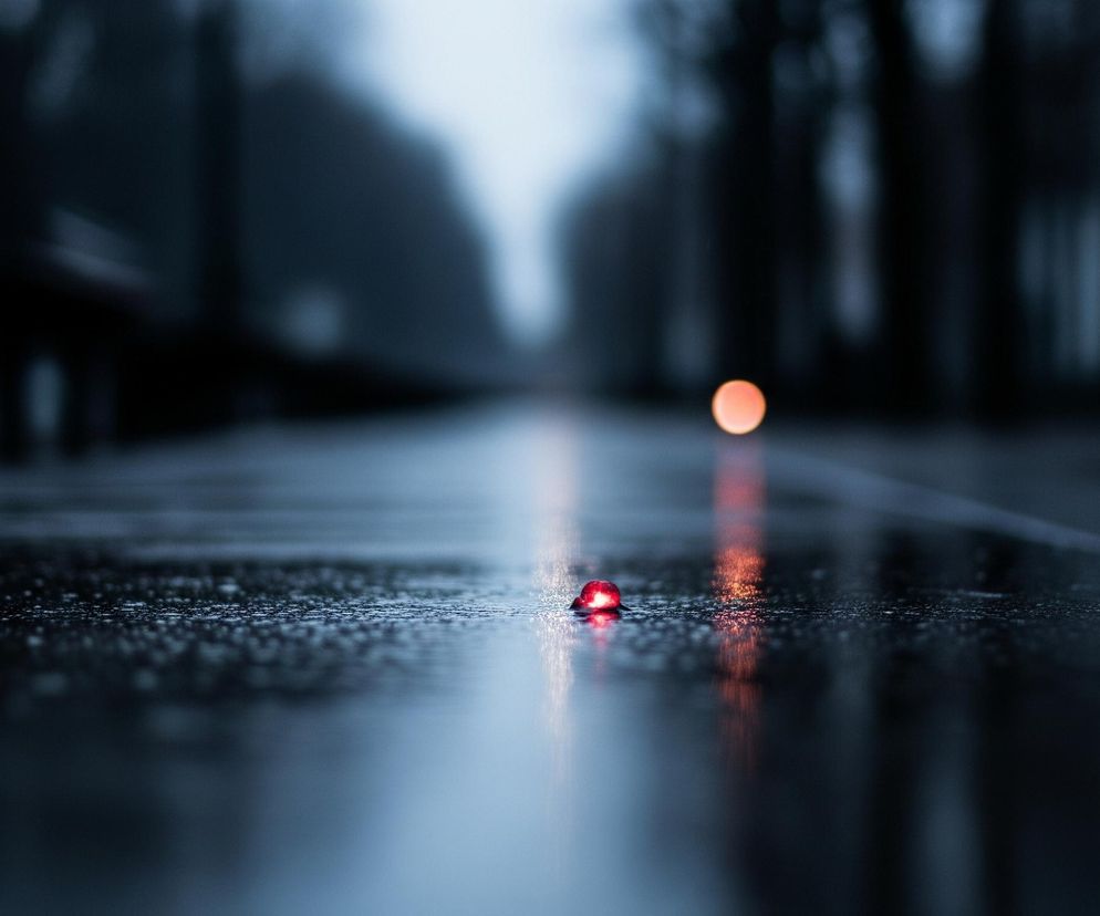 Na mokrej, ciemnej nawierzchni znajduje się mały, czerwony, błyszczący obiekt, odbijający światło. Powierzchnia jest pokryta drobnymi kroplami wody, tworzącymi liczne refleksy światła. W tle, w oddali, widać rozmyte, ciemne sylwetki drzew lub budynków, a po prawej stronie horyzontu pomarańczowe rozmyte światło, prawdopodobnie pochodzące z latarni ulicznej. Całość utrzymana jest w chłodnych, ciemnych barwach, z dominacją granatu i czerni, przełamanych ciepłym, czerwonym blaskiem.