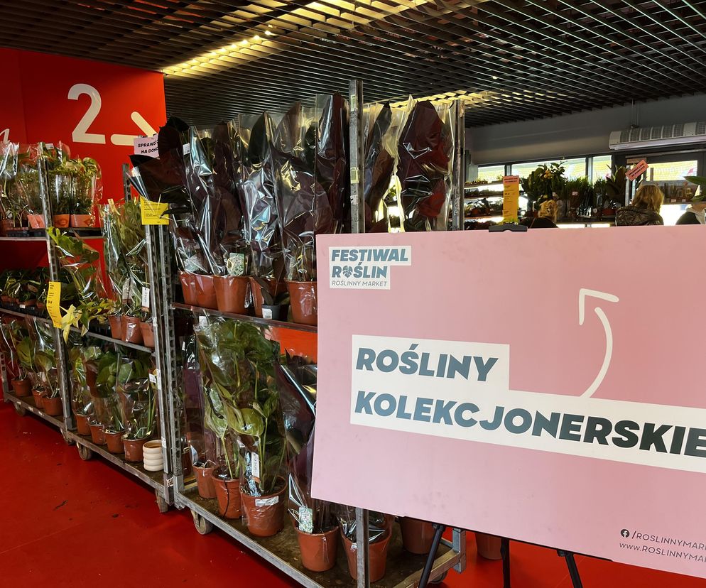 Tłumy na Festiwalu Roślin 2024 w Białymstoku. Zobaczcie te zdjęcia!