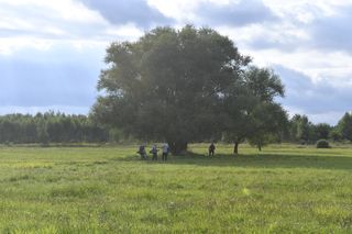 Zuzia i Kinga powiesiły się na wierzbie. Dziewczynki umarły z miłości?