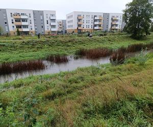 Sytuacja pogodowa we Wrocławiu i okolicach